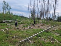 Mezinárodní kynologické cvičení v Domažlicích představilo systém Pátrač