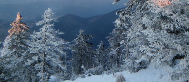 ilustrace na pozadí