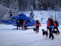 Kynologové Horské služby cvičí s Jiřím Ščučkou
