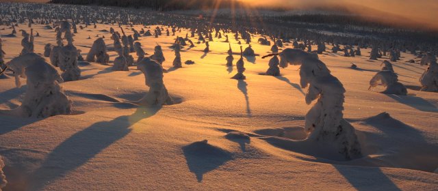 ilustrace na pozadí