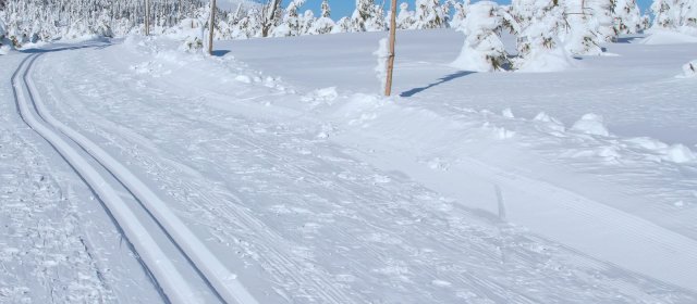 ilustrace na pozadí