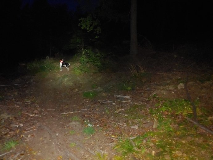 Večerní pátrání kolem Jáchymova