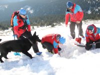 Ohlédnutí za lednovým Mezinárodním lavinovým a kynologickým kurzem