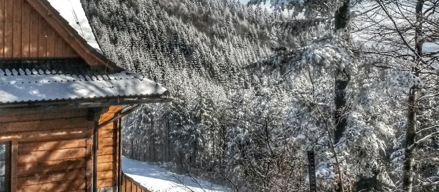 ilustrace na pozadí