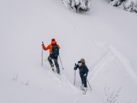 Pád laviny s tragickým následkem