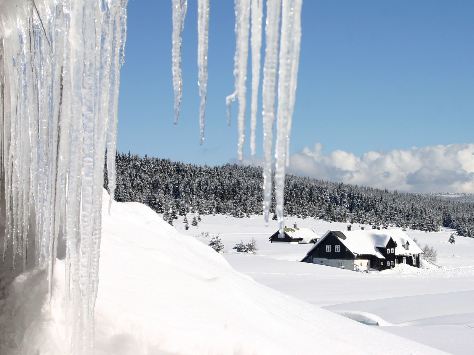 ilustrace na pozadí