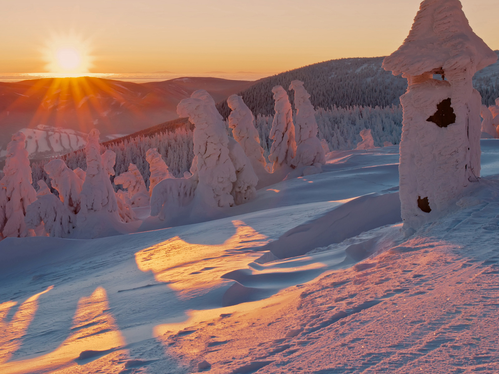 ilustrace na pozadí