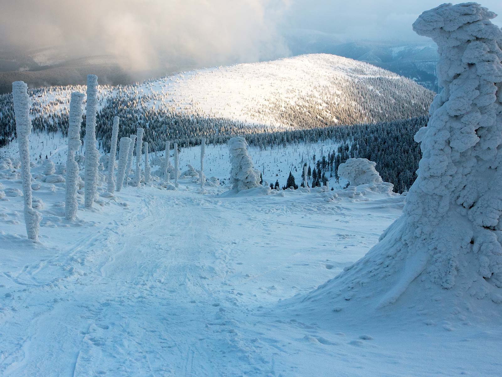 ilustrace na pozadí