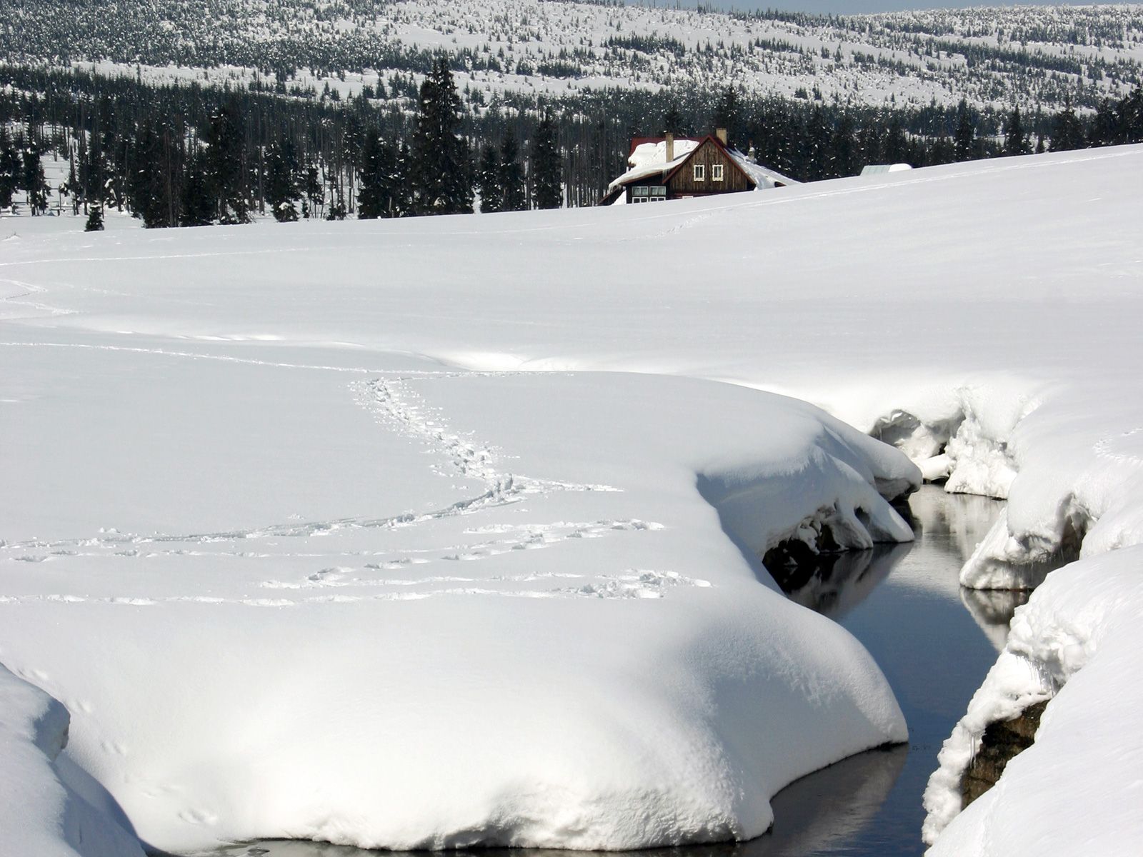 ilustrace na pozadí