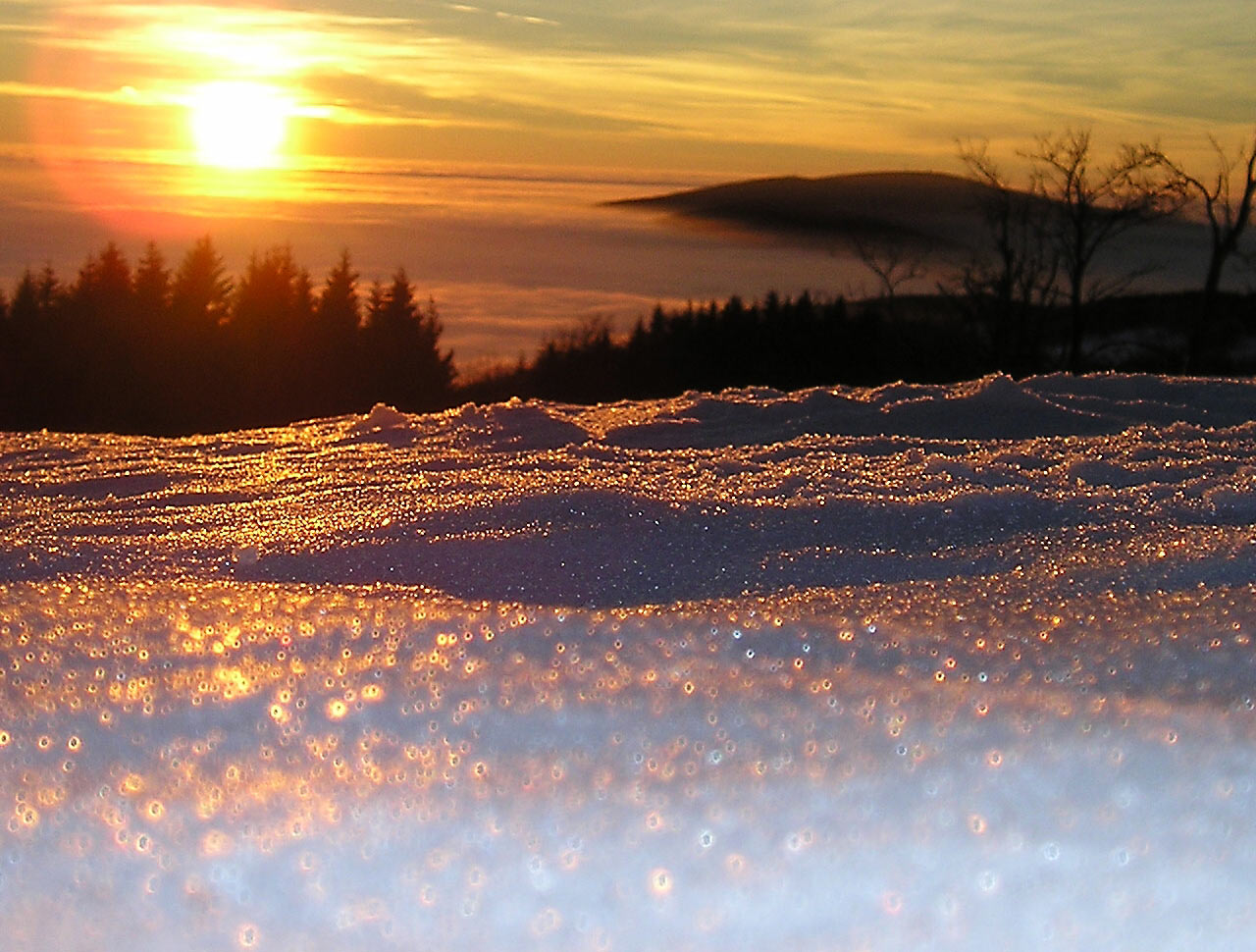 ilustrace na pozadí