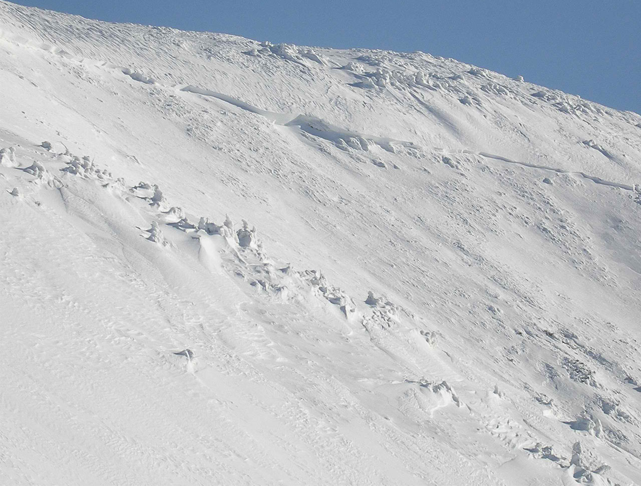 ilustrace na pozadí