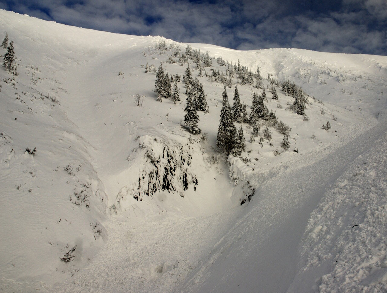 ilustrace na pozadí
