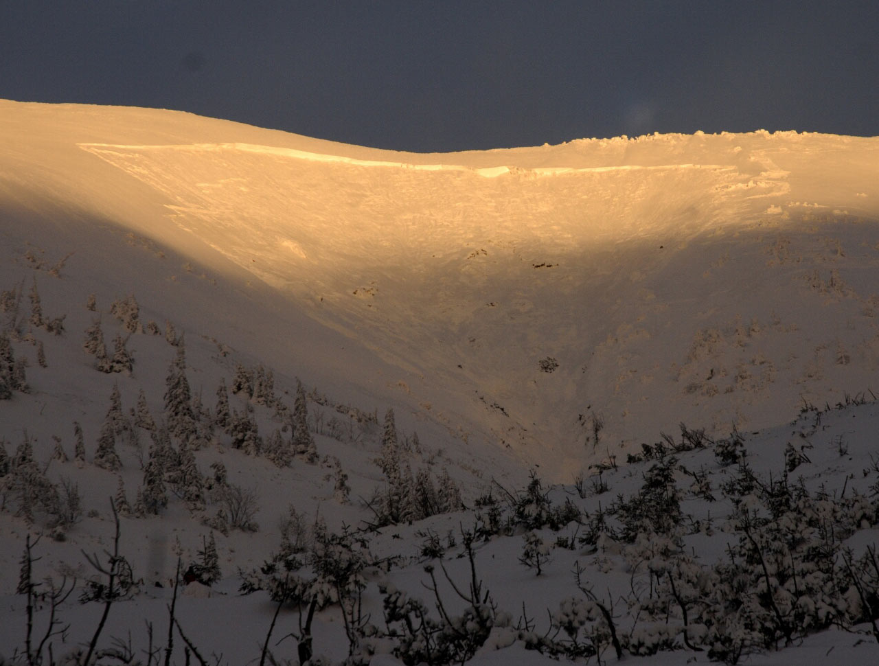 ilustrace na pozadí