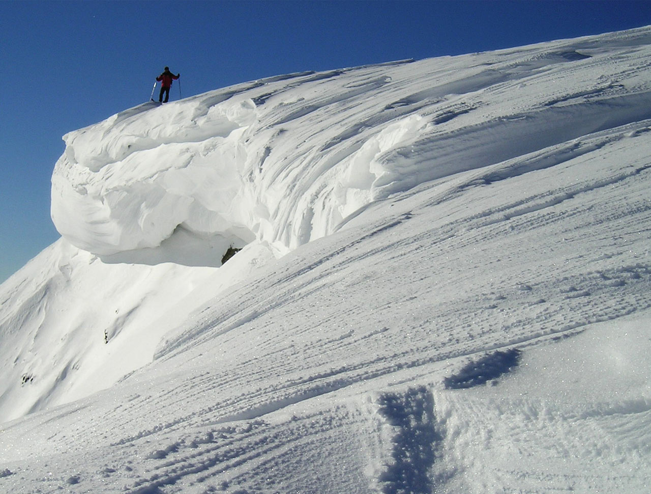 ilustrace na pozadí
