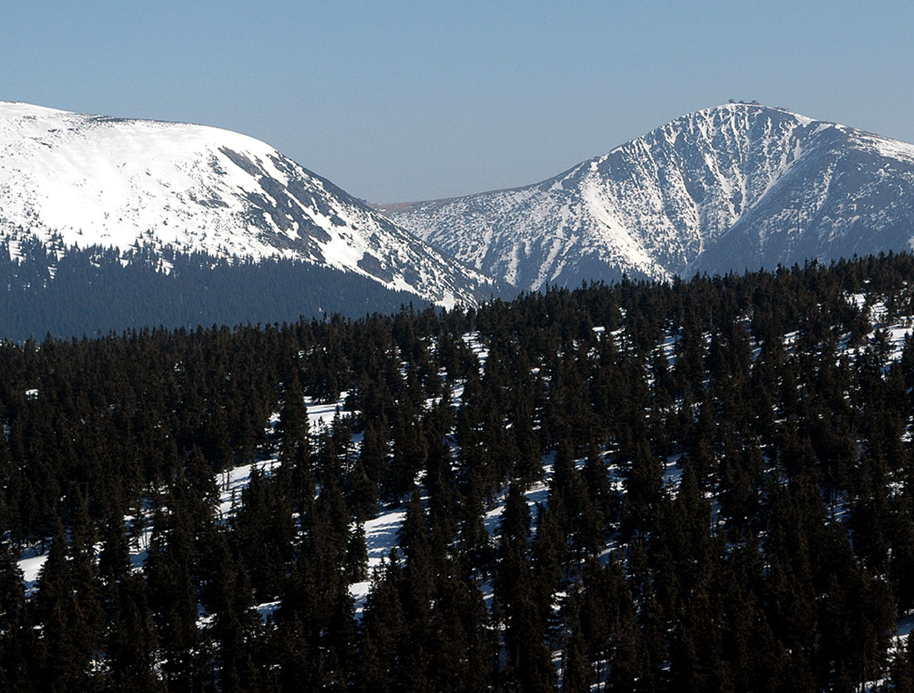 ilustrace na pozadí