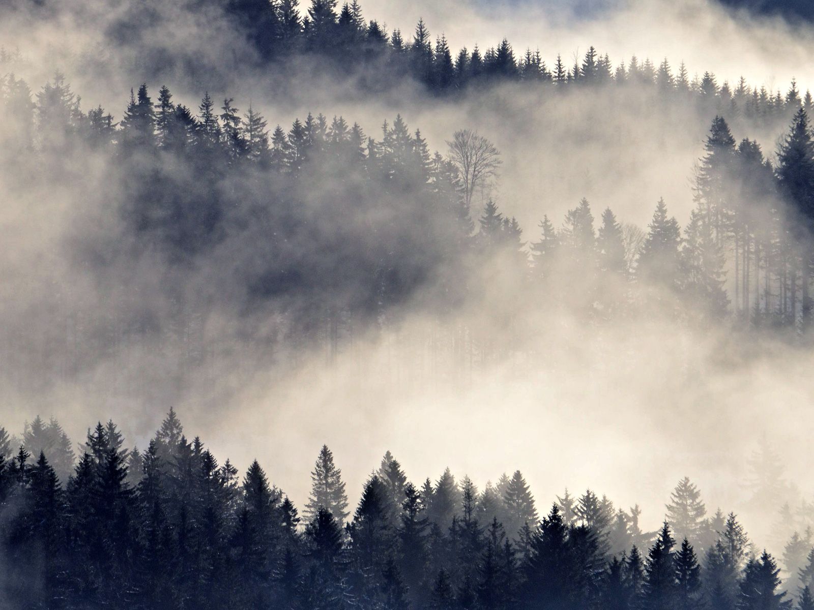 ilustrace na pozadí