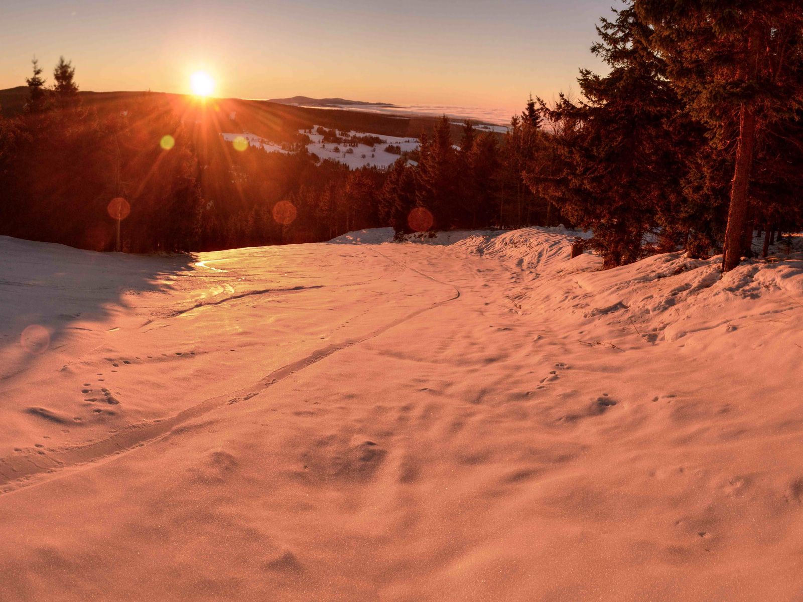 ilustrace na pozadí